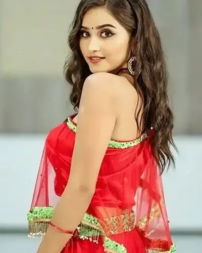 Escort In Palwal